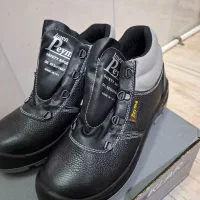 دو جفت کفش کار نو|کیف، کفش، کمربند|بهارستان, |دیوار