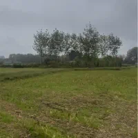 فرروش-زمین-جزیره-نقدواقساط-حومه-خمام