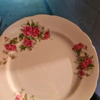 سرویس چینی گل سرخی|ظروف سرو و پذیرایی|کرج, شهرک فهمیده|دیوار