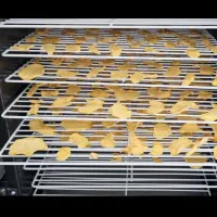 دستگاه میوه و سبزی خشکن|سایر لوازم برقی|کرمان, |دیوار