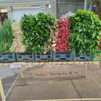 سبزی اصفهان دور میدان فردوسی