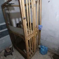 قفس خروس لاری