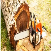 هرس درختان و سم پاشی