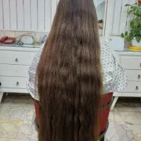 خریدار اصلی و عمده موی طبیعی بدون واسطه(مرکز خرید)