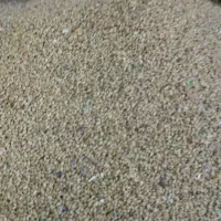 تخم یونجه درجه یک|حیوانات مزرعه|بروجرد, |دیوار