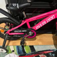 دوچرخه ۱۶ حرفه ایی