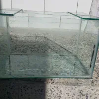 آکواریوم بهمراه تجهیزات