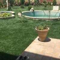 فروش سوله و ساختمان اداری|فروش دفتر صنعتی، کشاورزی، تجاری|اصفهان, قهجاورستان|دیوار