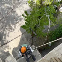 پیچ و رولپلاک و ترمیم نما با طناب کار در ارتفاع