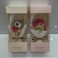 تعدادی عروسک وباکس هدیه|اسباببازی|قروه, |دیوار