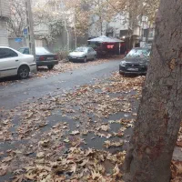 ۱۲۰ متر کلنگی.فرمانیه