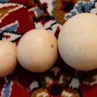 سنگ الماس آسیاب