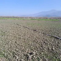 زمین کشاورزی|فروش زمین و ملک کلنگی|خان ببین, |دیوار