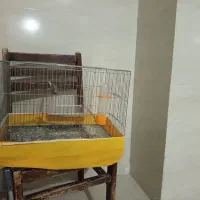 قفس پرنده