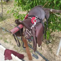 زین و کلگی و دهنه اسب
