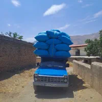 خرید وفروش کاه ویونجه