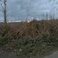 زمین مسکونی|فروش زمین و ملک کلنگی|رشت, گلسار|دیوار