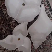 ظرف های نو|ظروف سرو و پذیرایی|رشت, سلیمانداراب|دیوار