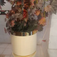 گلدون ودرختچه