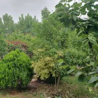 رهن-کامل-سالیانه