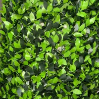 تولید و عرضه فنس برگی و چمنی