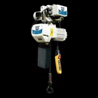 جرثقیل سقفی ریکسون