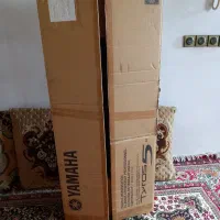 کارتن تایروس ۵|پیانو، کیبورد، آکاردئون|ارومیه, |دیوار