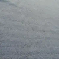 پالاز موکت|موکت|اهواز, سپیدار|دیوار