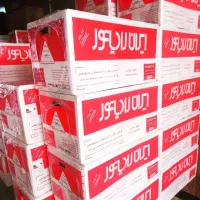 پکیج و مشعل ایران رادیاتور دو مبدل گازی|آبگرمکن، پکیج، شوفاژ|تهران, درختی|دیوار