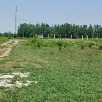 زمین واقع درلاهیجان