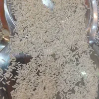 برنج شیرودی و طارم مناسب استفاده شخصی و کاسبی|خوردنی و آشامیدنی|بابلسر, |دیوار