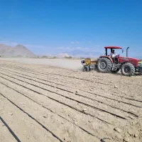 تراکتور ۴۱۲۰ مدل ۱۴۰۱|خودرو سنگین|ارزوئیه, |دیوار