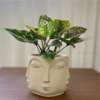 دکوری پلی استر و چوب|مجسمه، تندیس، ماکت|تهران, شهرک چیتگر|دیوار