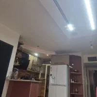 همخونه خانم