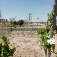 باغ و باغچه سند دار|فروش زمین و ملک کلنگی|شهریار, اصیل آباد|دیوار