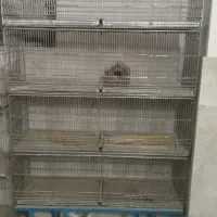 تعدادی قفس پرنده