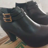 نیم بوت مجلسی