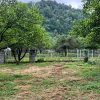 فروش-زمین-275متری-جنگلی-کاسبی-زیرقیمت-با-سندوجواز