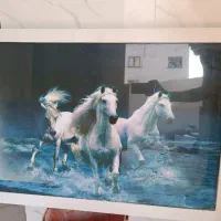 تابلو زیبای اسب با نور پشت زمینه