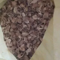 موسیر|عمده‌فروشی|نهاوند, |دیوار