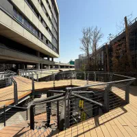 حسابدار خانم|استخدام مالی، حسابداری، حقوقی|تهران, شادآباد|دیوار