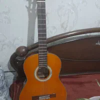 گیتار حرفه ای یاماها مدل پااوچیا