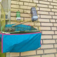 قفس به همراه وسایل