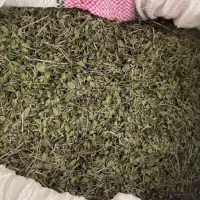 آویشن درجه یک کوهی با نازل ترین قیمت