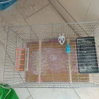 قفس با ابعاد بزرگ مرغ عشق عروس هلندی فنچ قناری و..|لوازم جانبی حیوانات|شهرضا, |دیوار