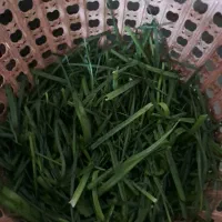 نیروی خانم جهت‌ شستشوی سبزی در ابر