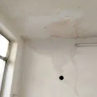 لکهگیری گچکاری وکار کلی گچکاری در کل مشهد|خدمات پیشه و مهارت|مشهد, طلاب|دیوار