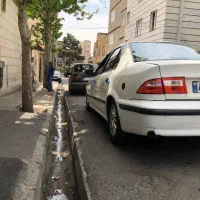 سمند‌مدل۸۸‌جوان‌پسند