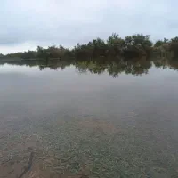 زمین-مسکونی-کوچه-26-زیر-نهر-تراب