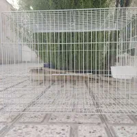 قفس پرنده نو
